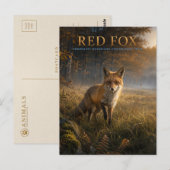 Rotfuchs-Waldwiese TIERWELT Postkarte (Vorne/Hinten)