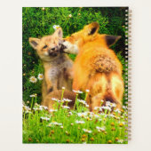 Rotfuchs-Welpen Planer | Waldtiere-Kunst (Rückseite)