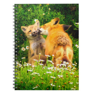 Rotfuchs-Welpen Spiralblock   Wildtier-Tagebuch Notizblock