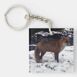 Rotfuchs Wildtiere Winter Schnee Wald Tier Schlüsselanhänger