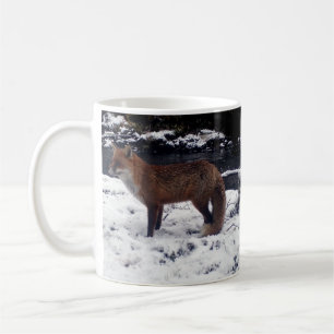 Rotfuchs Winter Schnee Waldlandschaft Wildtierfoto Kaffeetasse