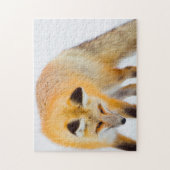 Rotfuchs Wyoming. Puzzle (Vertikal)