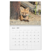 Rotfüchse - 2026 kalender (Mär 2027)