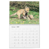 Rotfüchse - 2026 kalender (Jan 2027)