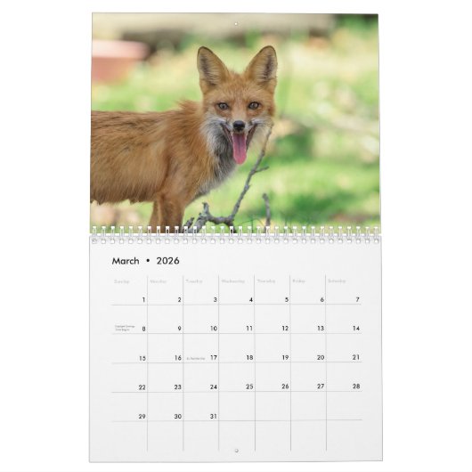 Rotfüchse 2026 kalender (Mär 2026)