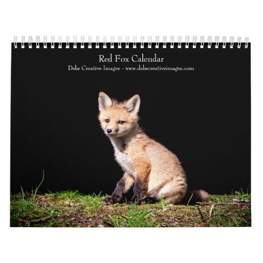Rotfüchse 2026 kalender (Titelbild)