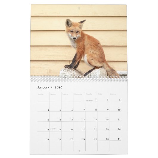 Rotfüchse 2026 kalender (Jan 2026)