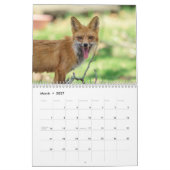 Rotfüchse 2026 kalender (Mär 2027)