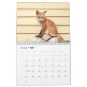 Rotfüchse 2026 kalender (Jan 2027)