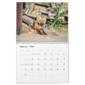 Rotfüchse 2026 kalender (Feb 2027)
