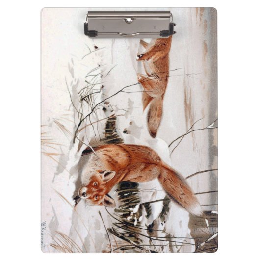 Rotfüchse im Schnee im Winter (von Wilhelm Kuhnert Klemmbrett (Vorderseite)