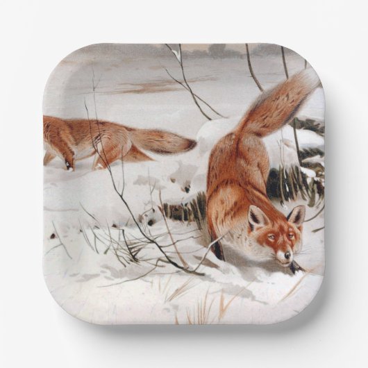 Rotfüchse im Schnee im Winter (von Wilhelm Kuhnert Pappteller (Vorderseite)