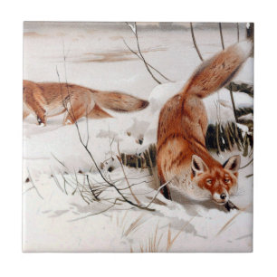 Rotfüchse im Winterschnee (von Wilhelm Kuhnert) Fliese