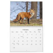 Rotfüchse Kalender (Feb 2027)