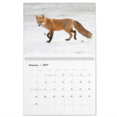 Rotfüchse - Kalender 2021 (Feb 2027)