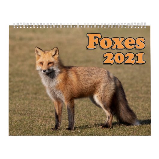 Rotfüchse - Kalender 2021 (Titelbild)