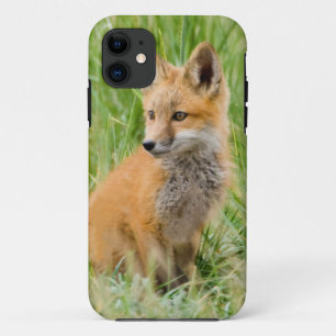 Rotfuchsjunges im Gras nahe dem Bau Case-Mate iPhone Hülle