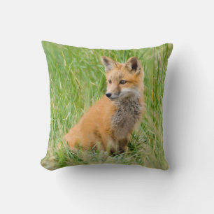 Rotfuchsjunges im Gras nahe dem Bau Kissen