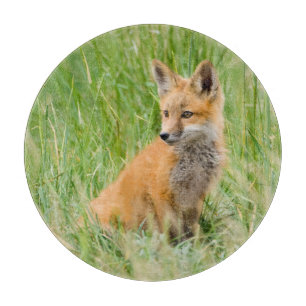 Rotfuchsjunges im Gras nahe dem Bau Schneidebrett