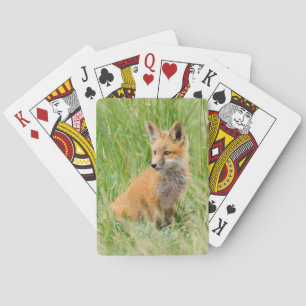 Rotfuchsjunges im Gras nahe dem Bau Spielkarten