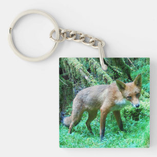 Rotfuchsjunges Rustikaler Zaunpfosten Landschaftsw Schlüsselanhänger