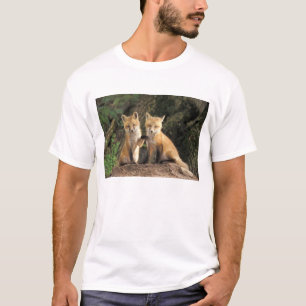 Rotfuchsjunges vor dem Bau (Vulpes vulpes) T-Shirt