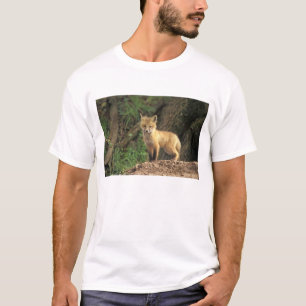 Rotfuchsjunges vor dem Bau (Vulpes vulpes) T-Shirt