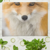 Rotfuchsporträt Geschirrtuch (Gefaltet)