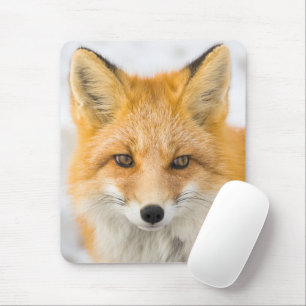 Rotfuchsporträt Mousepad