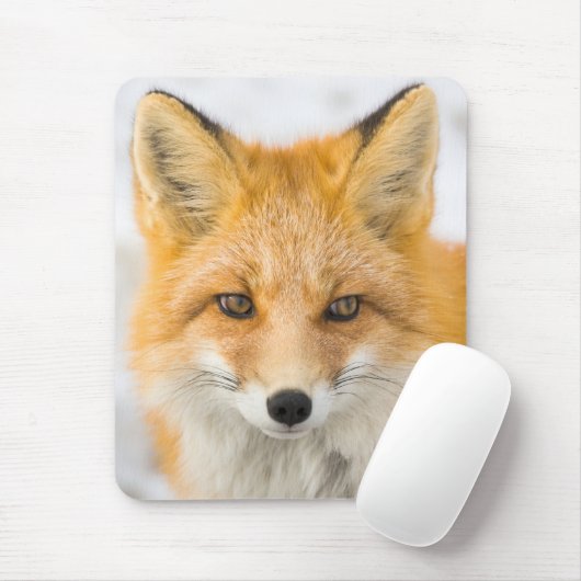 Rotfuchsporträt Mousepad (Mit Mouse)