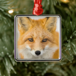 Rotfuchsporträt Ornament Aus Metall