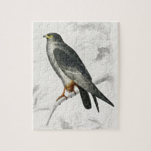Rotfußfalke Illustration Vintage Kunst Druck Puzzle