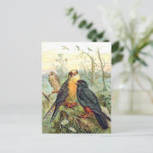 Rotfußfalke Postkarte (Stehend Vorderseite)