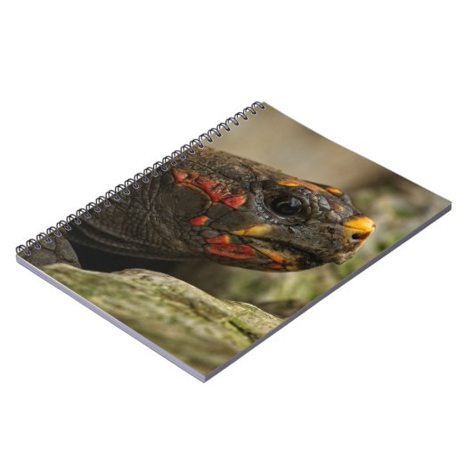 Rotfußschildkröte Notizblock (Linke Seite)