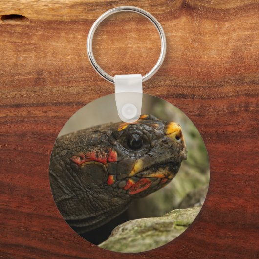 Rotfußschildkröte Schlüsselanhänger (Vorderseite)