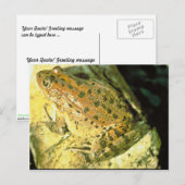 Rotgeburtfrosch Postkarte (Vorne/Hinten)