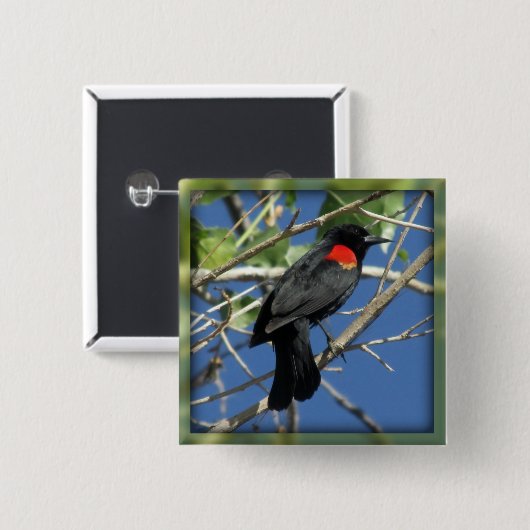 Rotgeflügelte Amsel Button (Vorne & Hinten)