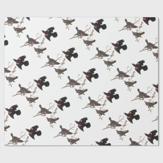Rotgeflügelte Amsel durch Audubon Geschenkpapier (Flach)