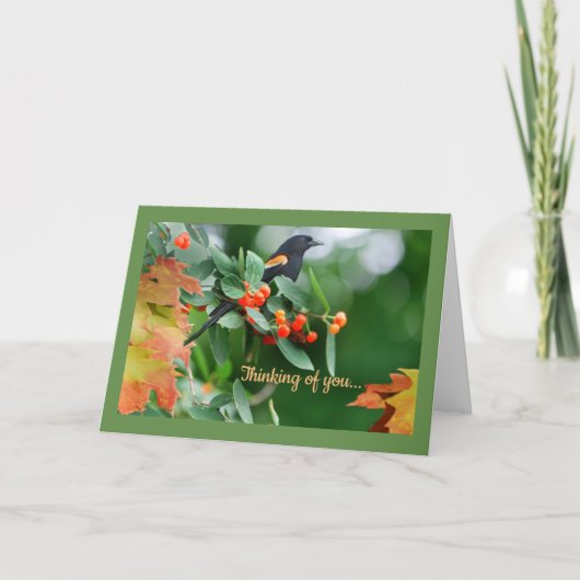 Rotgeflügelte Amsel-Gruß-Karte Karte (Vorderseite)