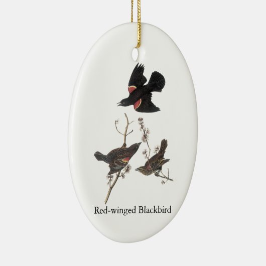 Rotgeflügelte Amsel, John Audubon Keramikornament (Rechts)