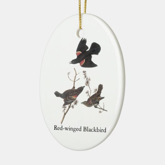 Rotgeflügelte Amsel, John Audubon Keramikornament (Links)