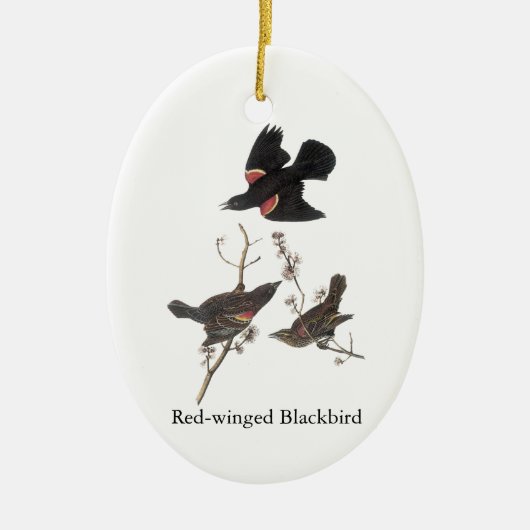 Rotgeflügelte Amsel, John Audubon Keramikornament (Vorne)