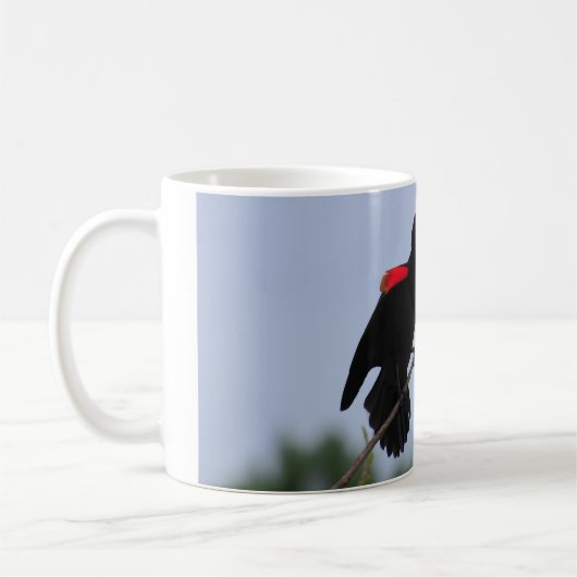 Rotgeflügelte Amsel Kaffeetasse (Links)