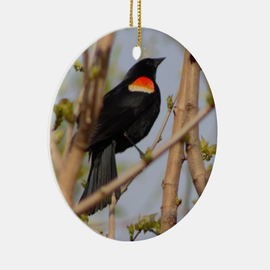 Rotgeflügelte Amsel Keramik Ornament (Rechts)