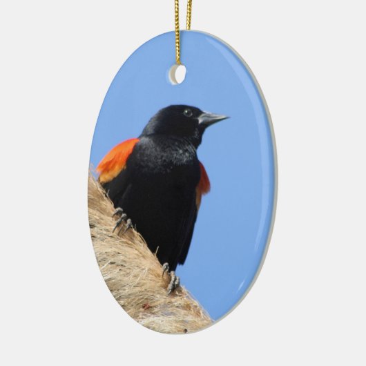 Rotgeflügelte Amsel Keramikornament (Links)