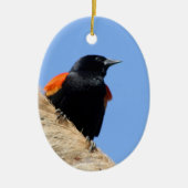 Rotgeflügelte Amsel Keramikornament (Vorne)