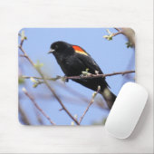 Rotgeflügelte Amsel Mousepad (Mit Mouse)
