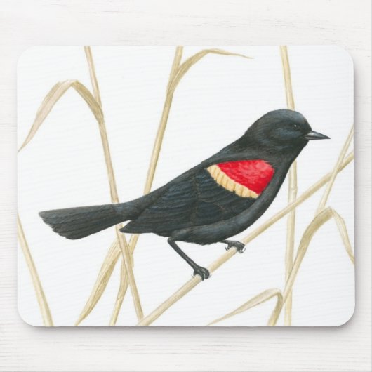 Rotgeflügelte Amsel Mousepad (Vorne)