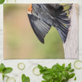 Rotgeflügelte singende Amsel Geschirrtuch (Gefaltet)