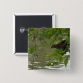 rotgeflügeltes schwarzes Vogel Fischen von einem Button (Vorne & Hinten)